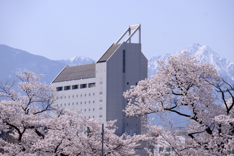 薄川から見た北アルプスを桜とホテルブエナビスタ